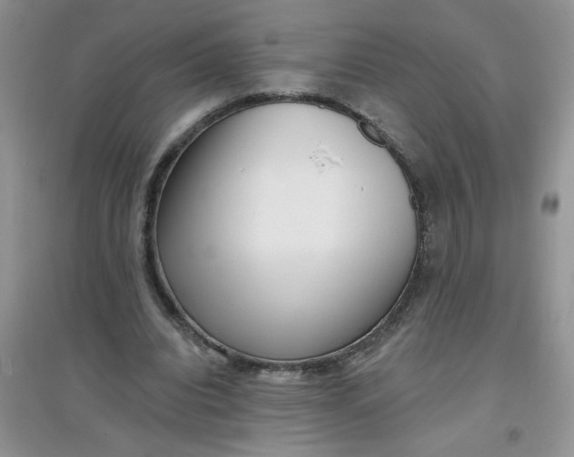 X0000097630440200803142028