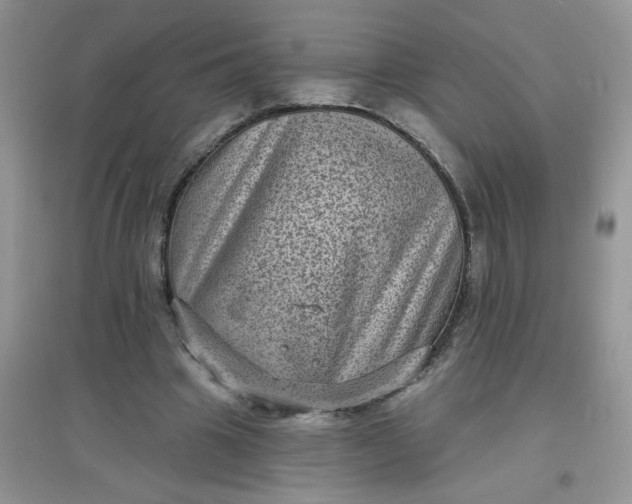 X0000097630441200803142028