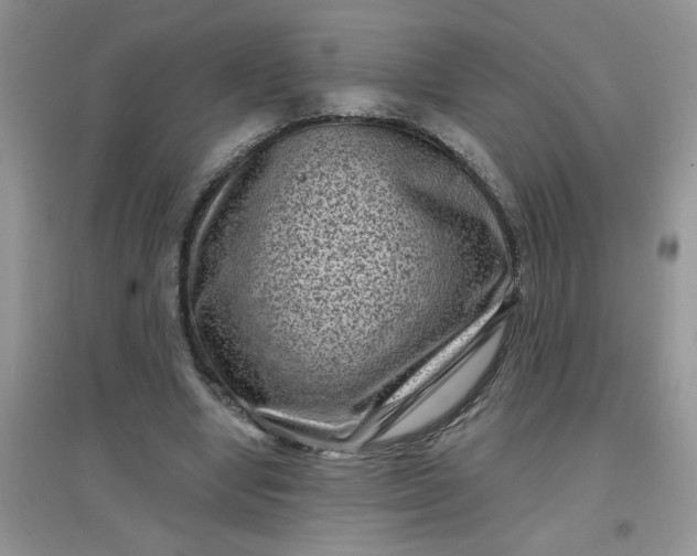 X0000097630442200803142028