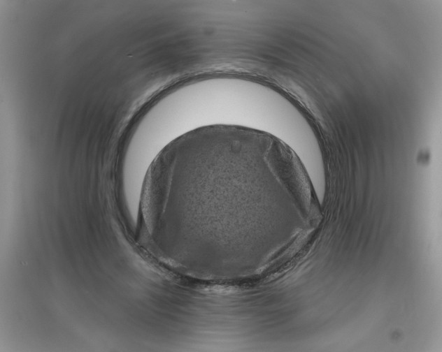 X0000097630444200803142028