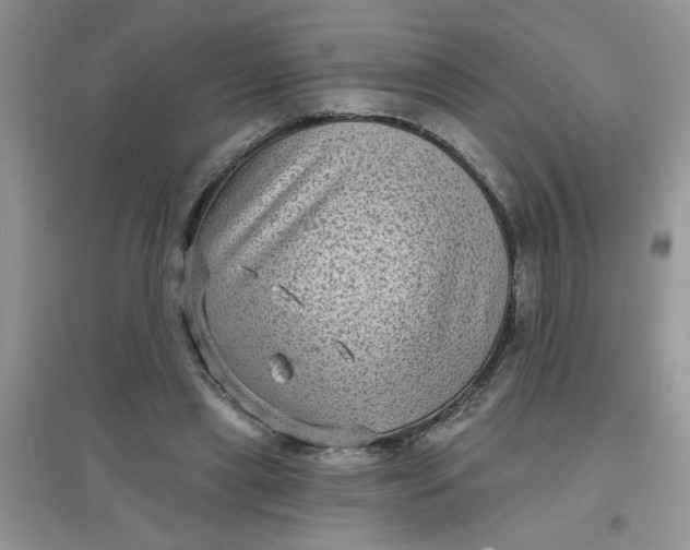 X0000097630445200803142028