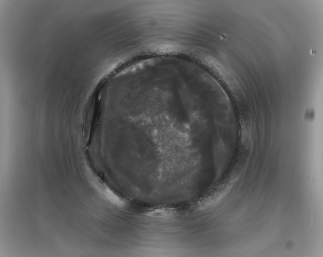 X0000097630447200803142028