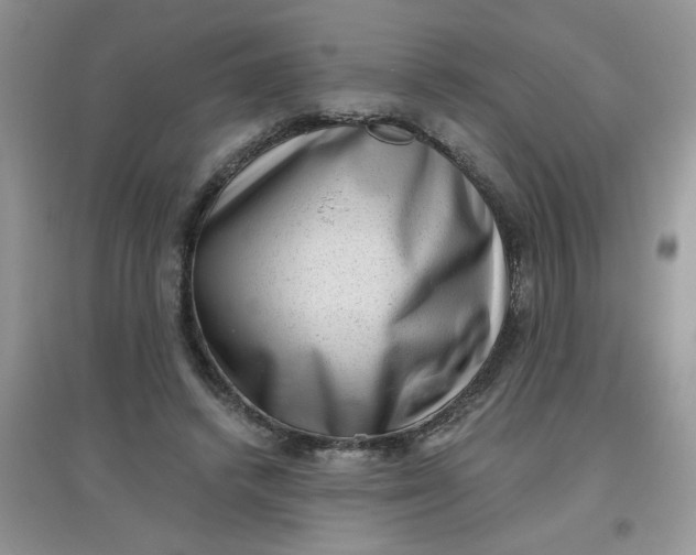 X0000097630448200803142028