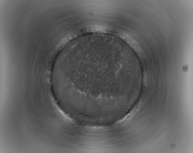 X0000097630449200803142028