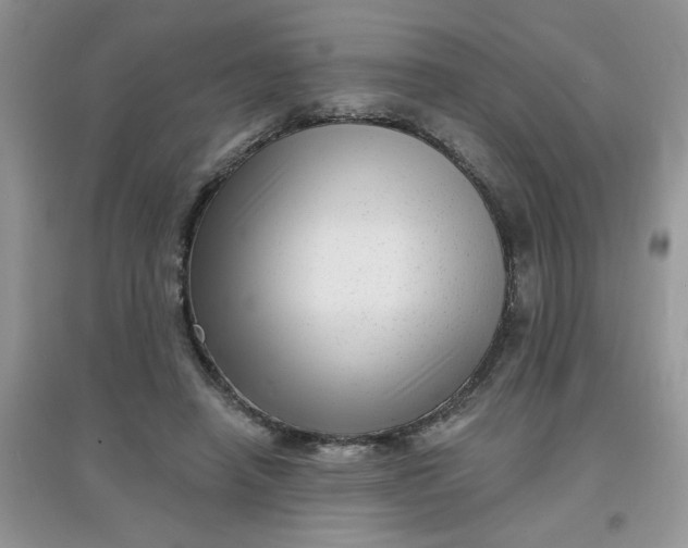 X0000097630450200803142028