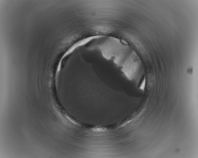 X0000097630451200803142028