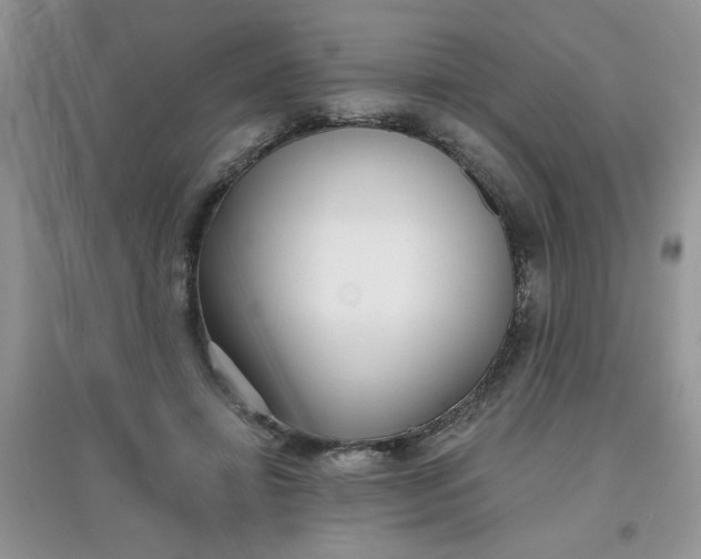 X0000097630452200803142028