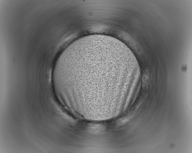 X0000097630454200803142028