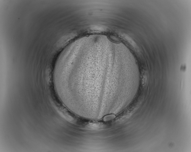 X0000097630455200803142028