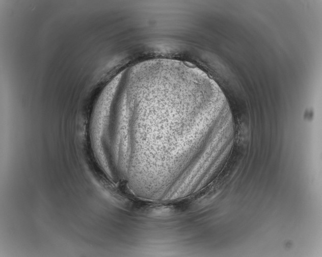 X0000097630456200803142028