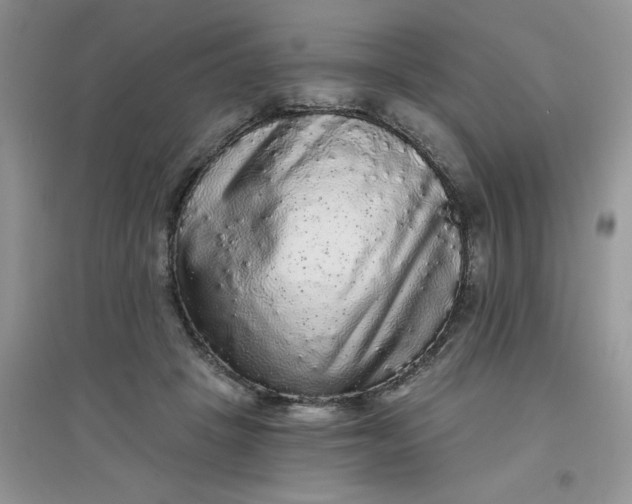 X0000097630457200803142028