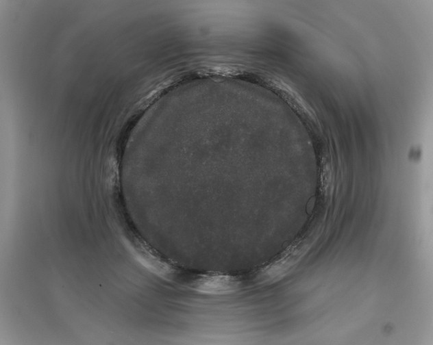 X0000097630459200803142028