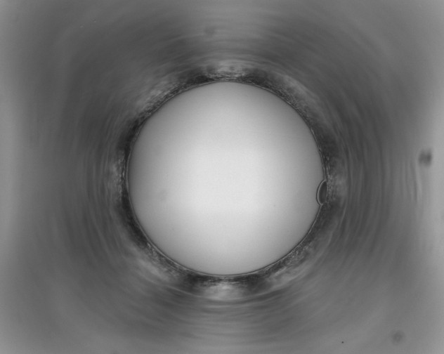 X0000097630460200803142028