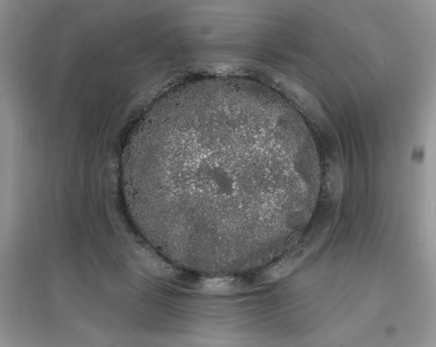 X0000097630461200803142028