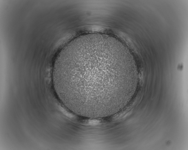 X0000097630462200803142028