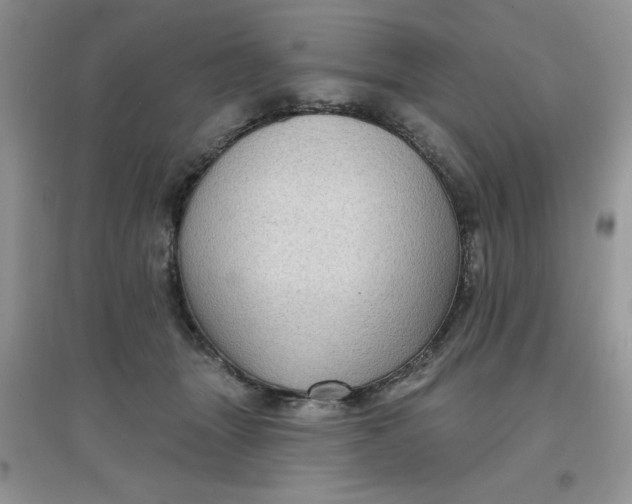 X0000097630463200803142028