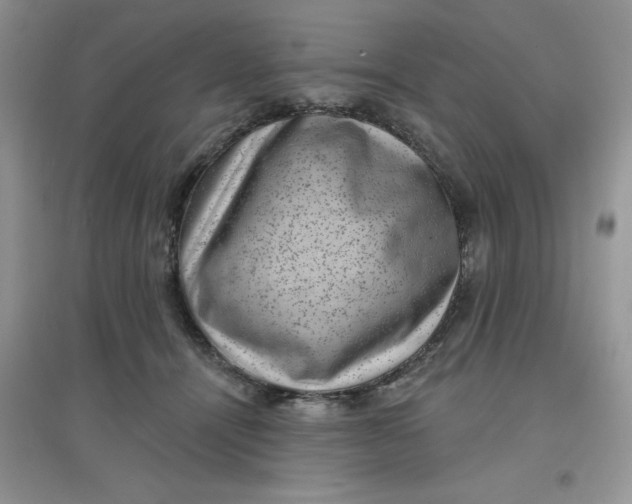 X0000097630464200803142028