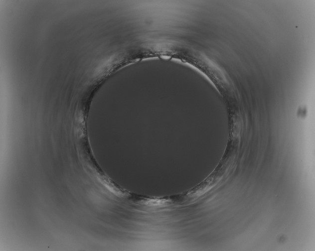 X0000097630465200803142028