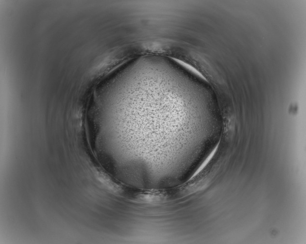 X0000097630466200803142028