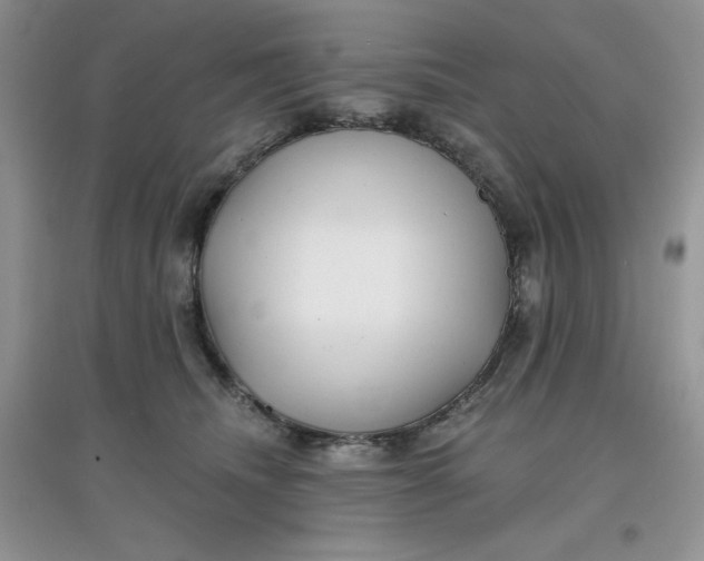 X0000097630468200803142028