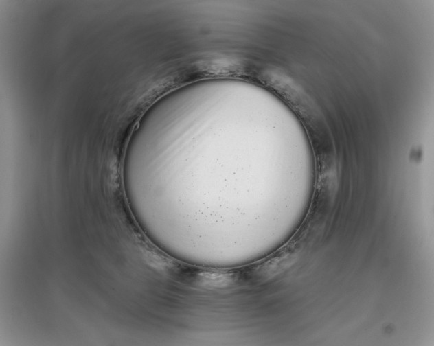 X0000097630469200803142028