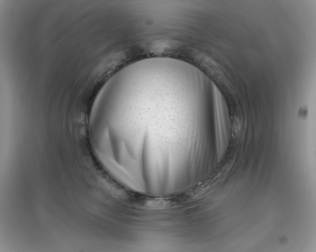 X0000097630470200803142028