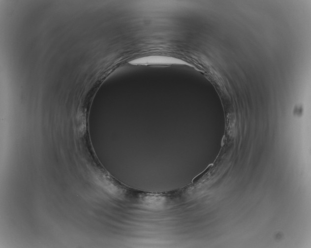 X0000097630471200803142028