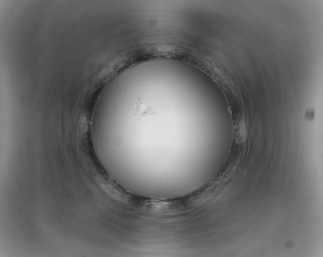 X0000097630472200803142028