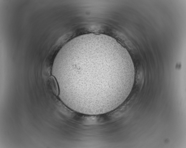 X0000097630473200803142028