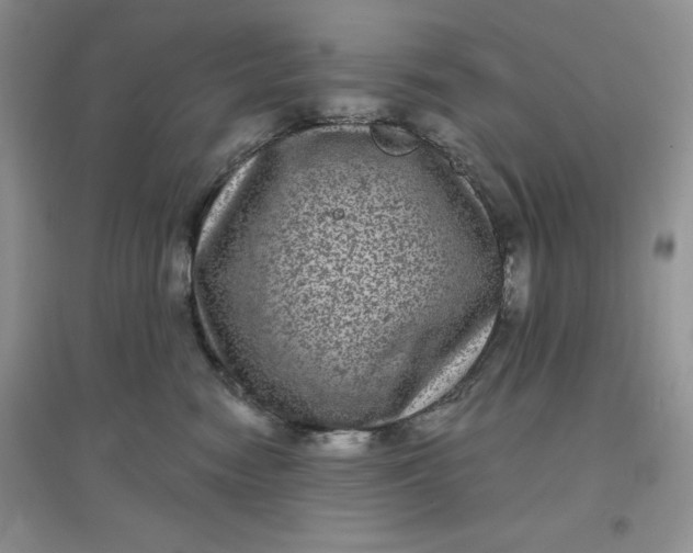 X0000097630474200803142028