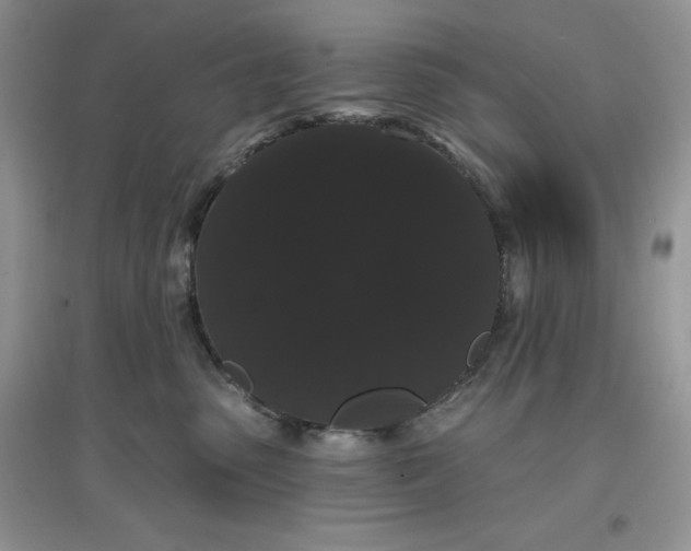 X0000097630475200803142028