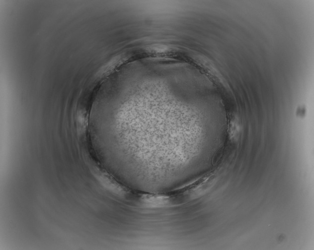 X0000097630476200803142028