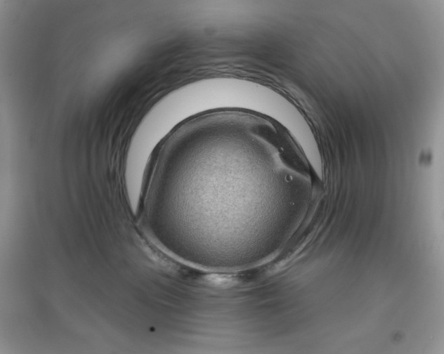 X0000097630477200803142028