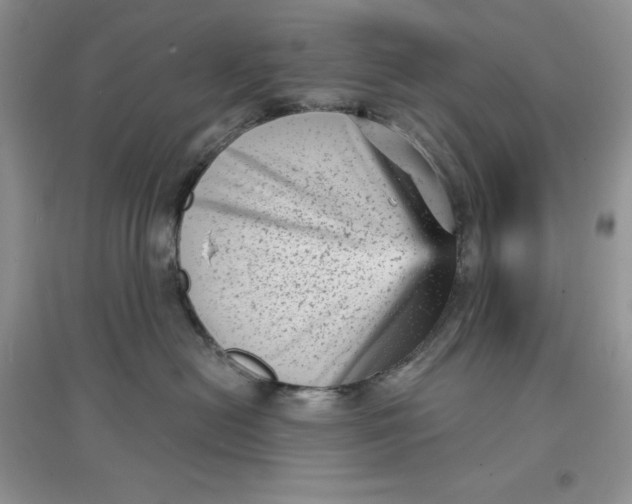 X0000097630478200803142028