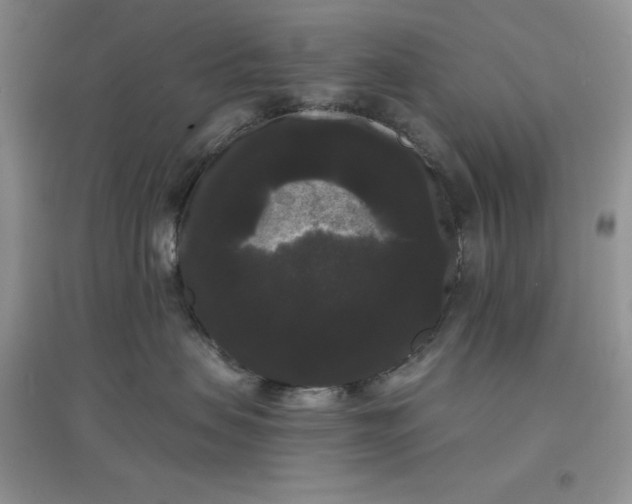 X0000097630479200803142028