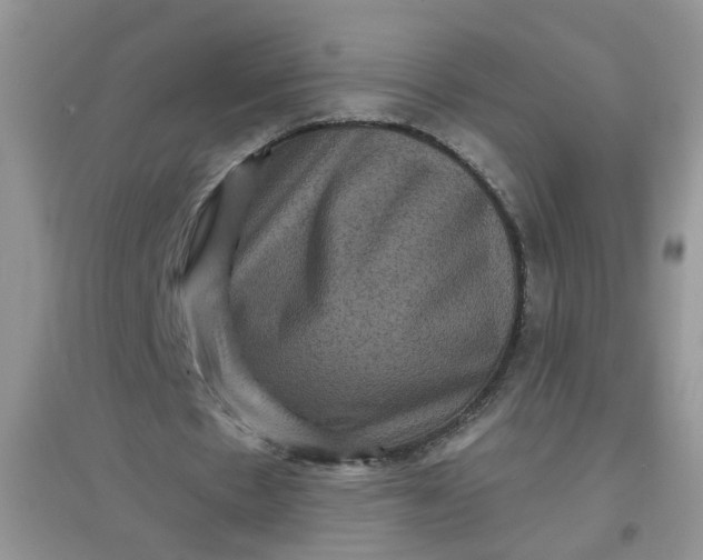 X0000097630481200803142028