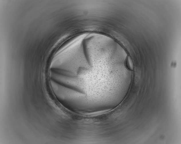 X0000097630482200803142028