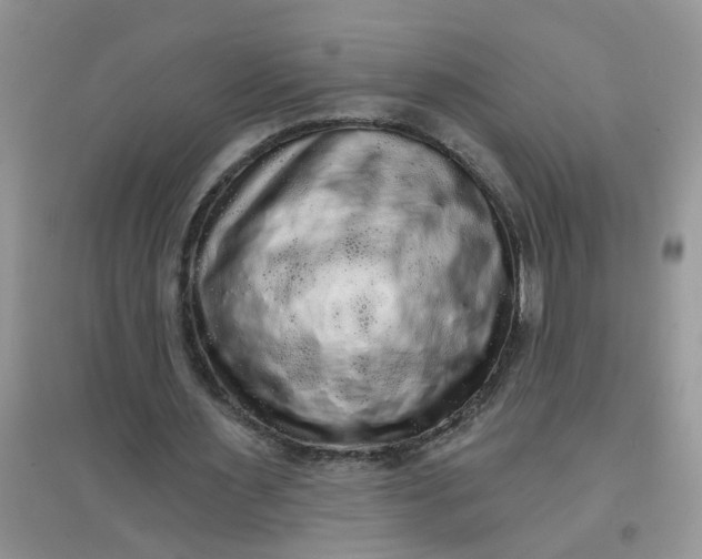 X0000097630483200803142028