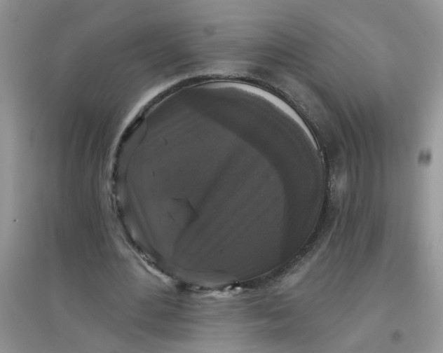 X0000097630484200803142028