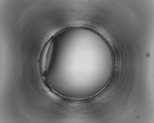 X0000097630485200803142028