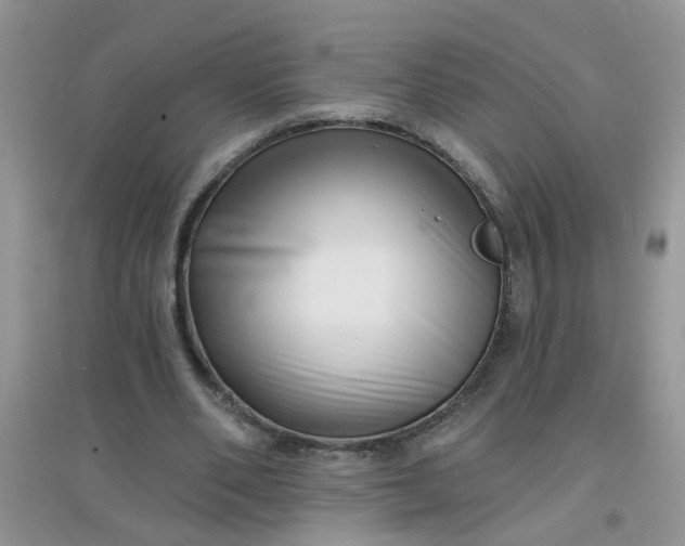 X0000097630486200803142028