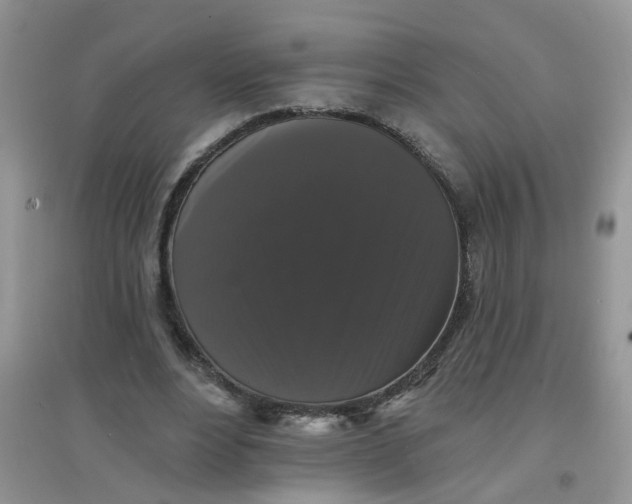 X0000097630488200803142027