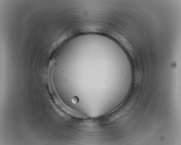 X0000097630489200803142027