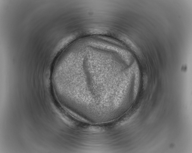 X0000097630490200803142027