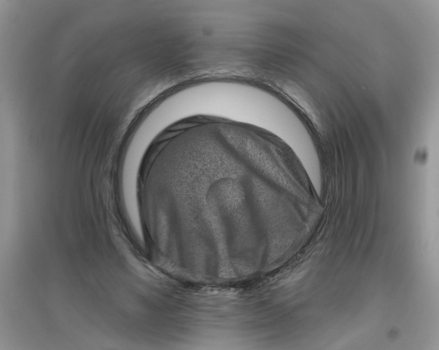 X0000097630491200803142027