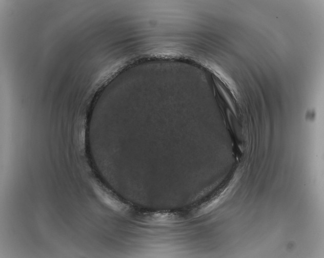 X0000097630493200803142027