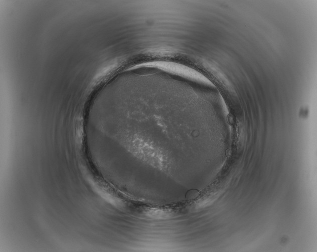 X0000097630494200803142027