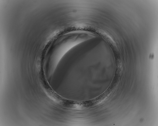 X0000097630496200803142027