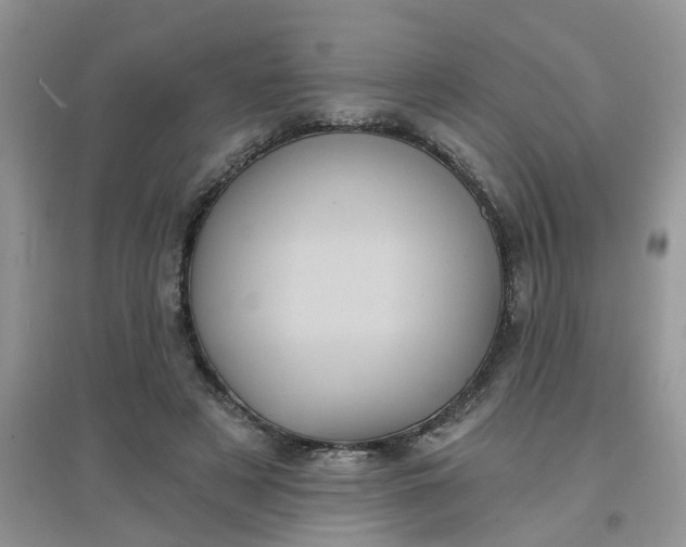 X0000097630497200803142027