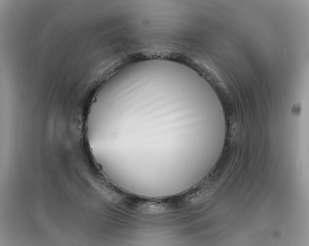 X0000097630498200803142027